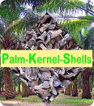 PKS - Palm Kernel Shells