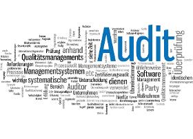 Auditplanung und Auditprogramm