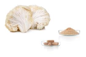 Hericium (Lion's mane) Extrakt, Pulver und Kapseln