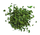 Bio Moringa Blätter (AFRICROPS! GMBH)