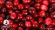 Cranberryöl, BIO FOOD (SANABIO GMBH)